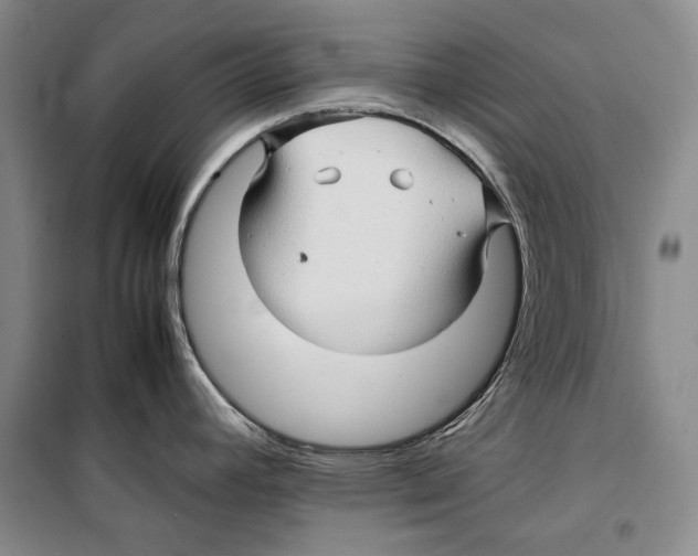 X0000099461392200806061119