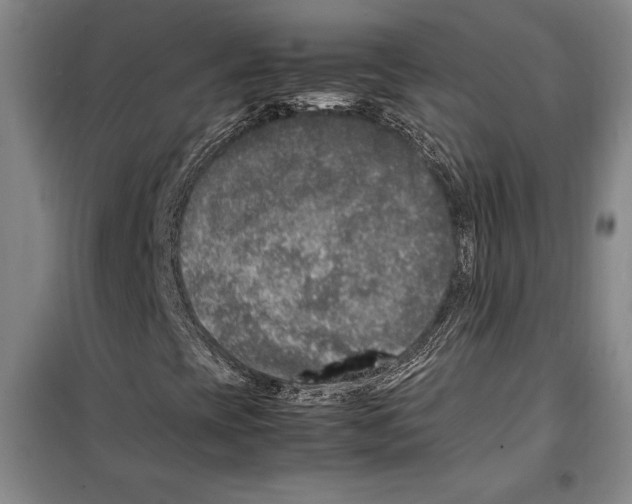 X0000099461393200806061118