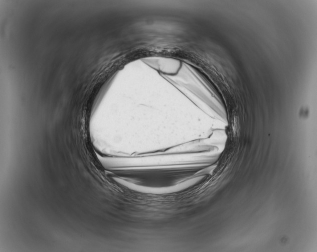 X0000099461396200806061118