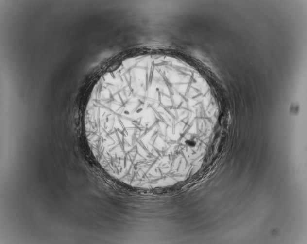 X0000099461398200806061118