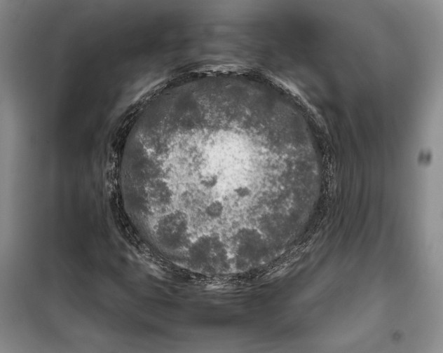 X0000099461399200806061118