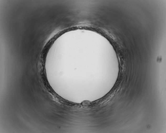 X0000099461400200806061118