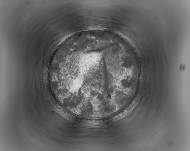 X0000099461401200806061118