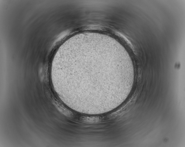 X0000099461403200806061118