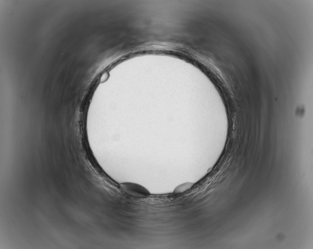 X0000099461404200806061118