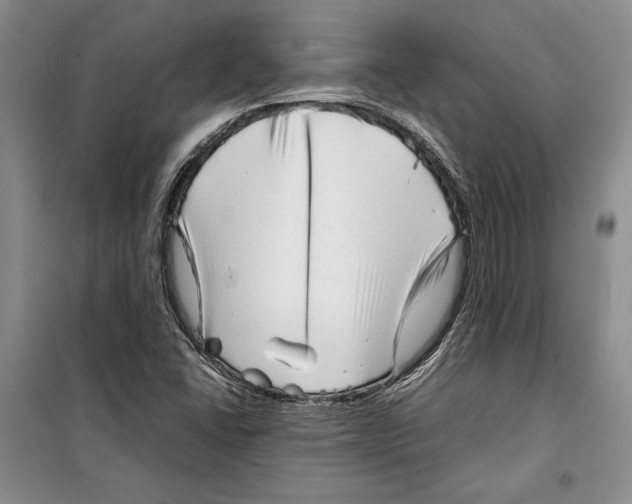 X0000099461406200806061118