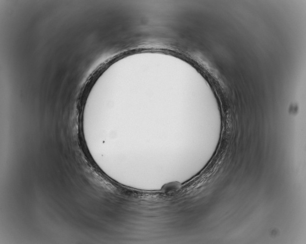 X0000099461408200806061118