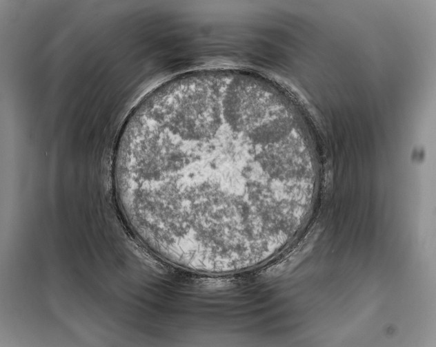 X0000099461409200806061118