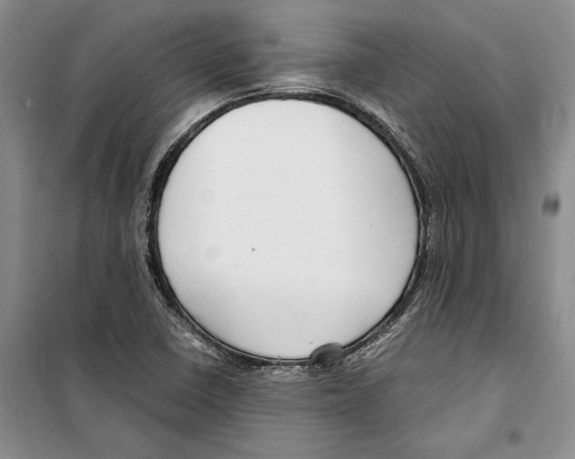 X0000099461410200806061118