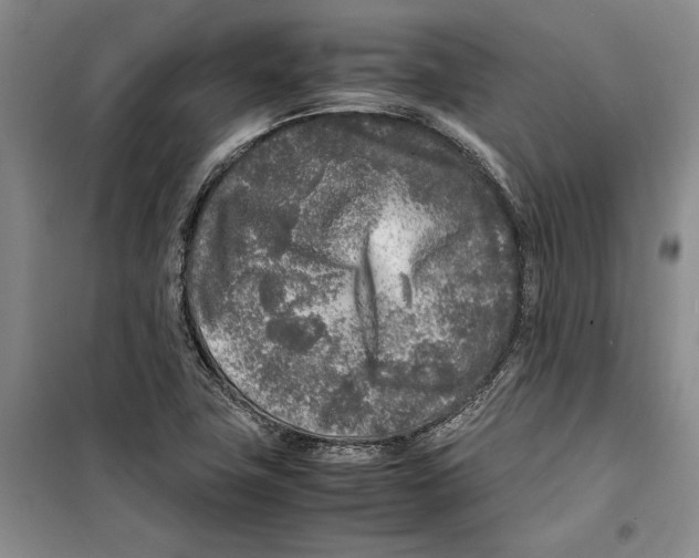 X0000099461411200806061118