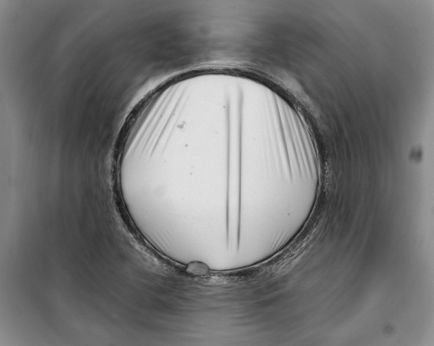 X0000099461412200806061118