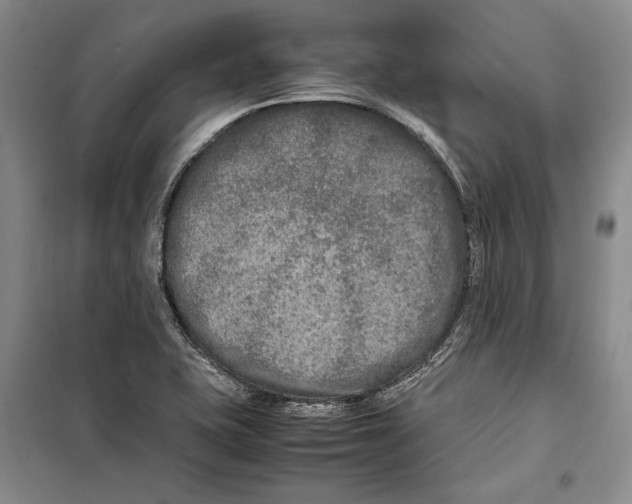 X0000099461415200806061118