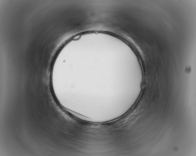 X0000099461416200806061118