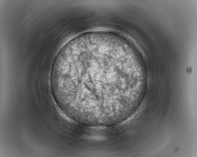 X0000099461417200806061118