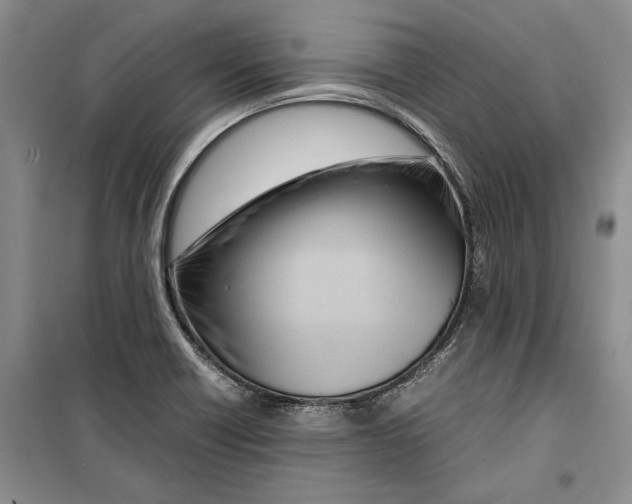 X0000099461418200806061118