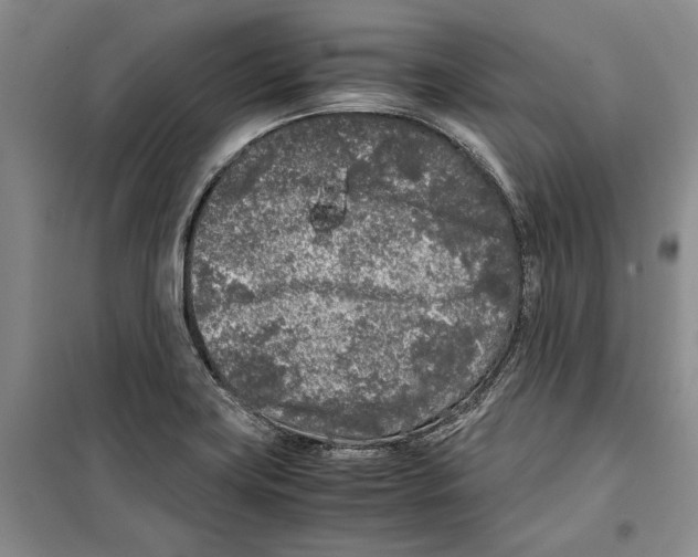 X0000099461419200806061118