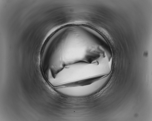 X0000099461420200806061118