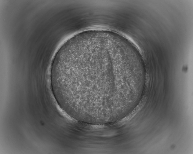 X0000099461421200806061118