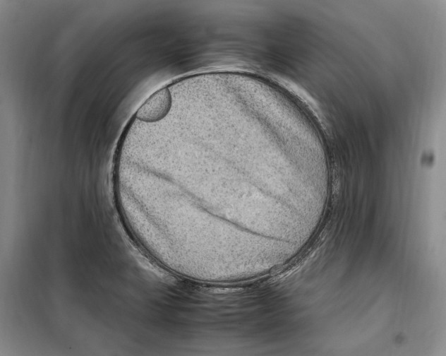 X0000099461423200806061118