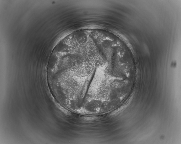 X0000099461425200806061118