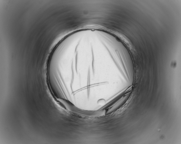 X0000099461430200806061118