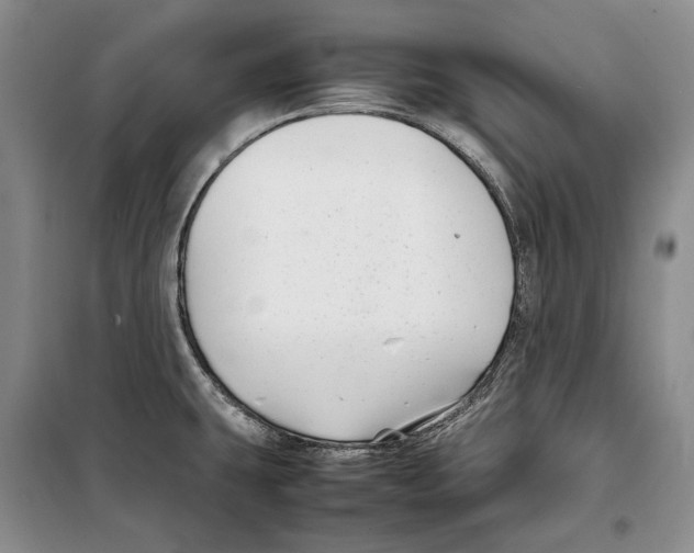 X0000099461431200806061118