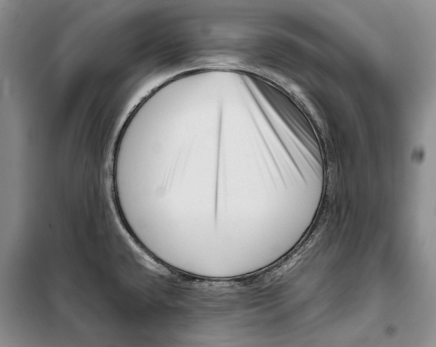 X0000099461432200806061119