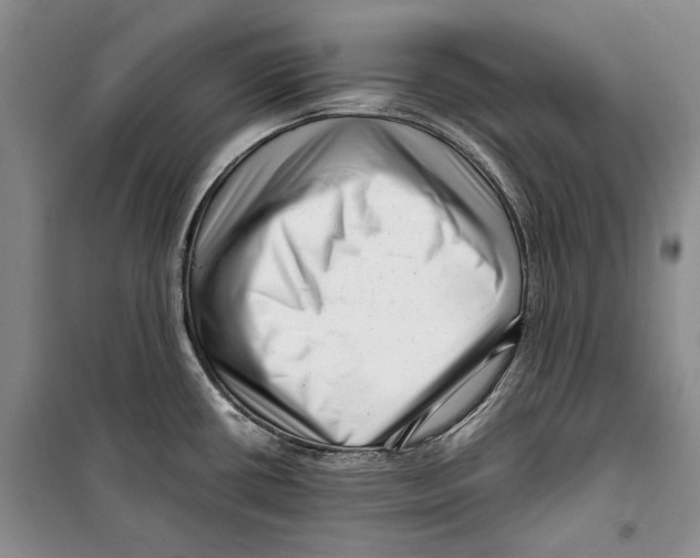 X0000099461434200806061119