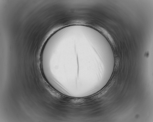 X0000099461435200806061119