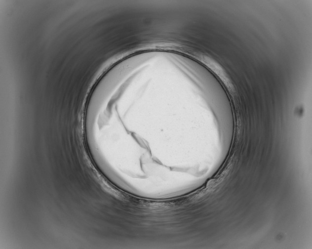 X0000099461436200806061119