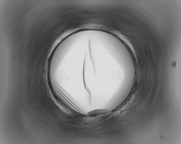 X0000099461437200806061119