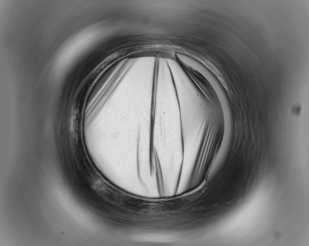 X0000099461438200806061119