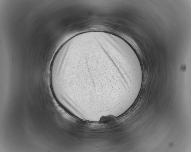 X0000099461439200806061119