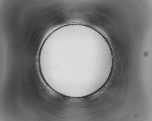 X0000099461440200806061119