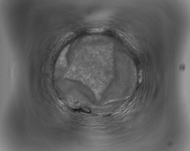 X0000099461441200806061118