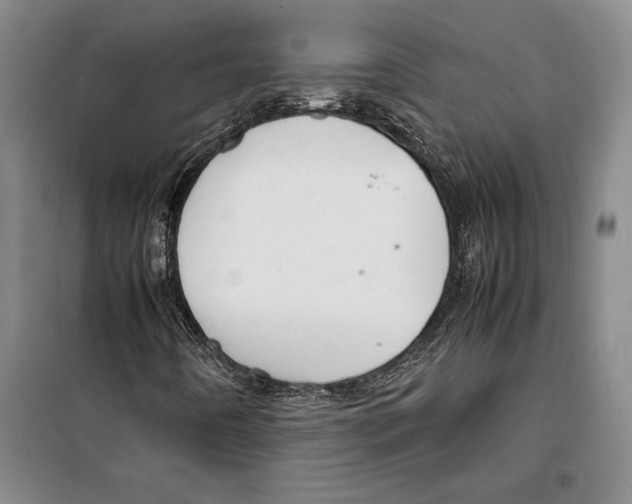 X0000099461442200806061118