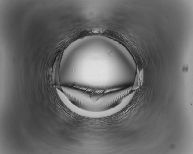 X0000099461443200806061118