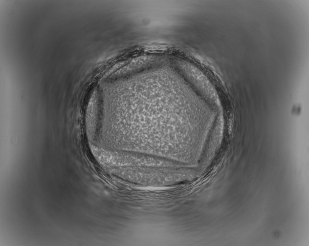 X0000099461445200806061118