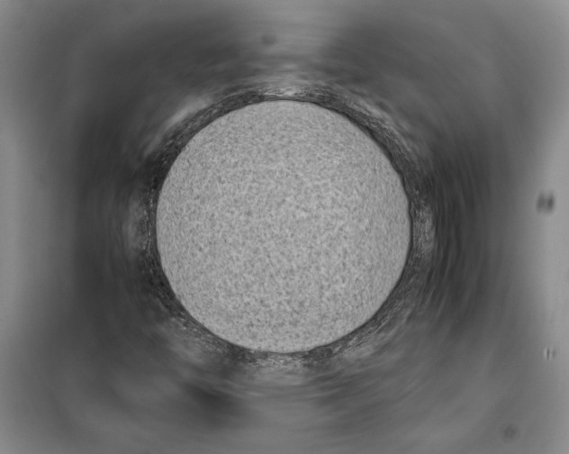 X0000099461446200806061118