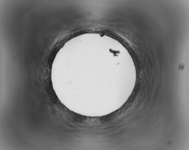 X0000099461447200806061118