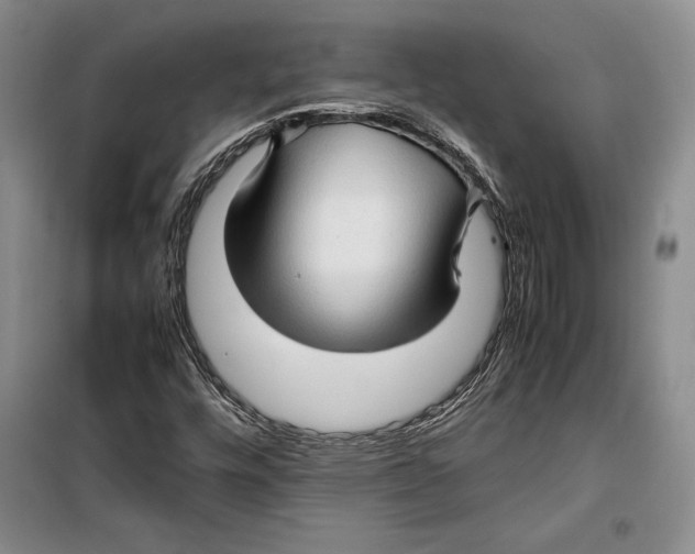 X0000099461448200806061118