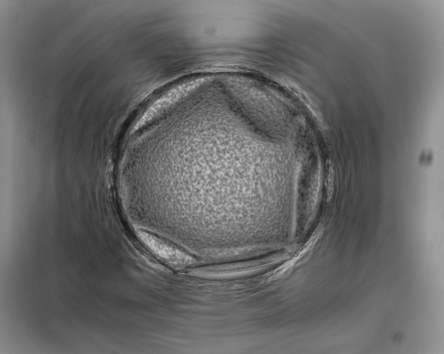 X0000099461449200806061118