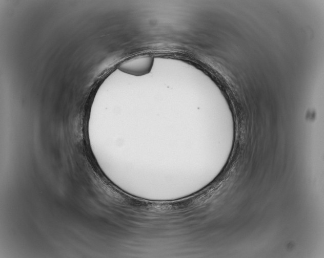 X0000099461451200806061118