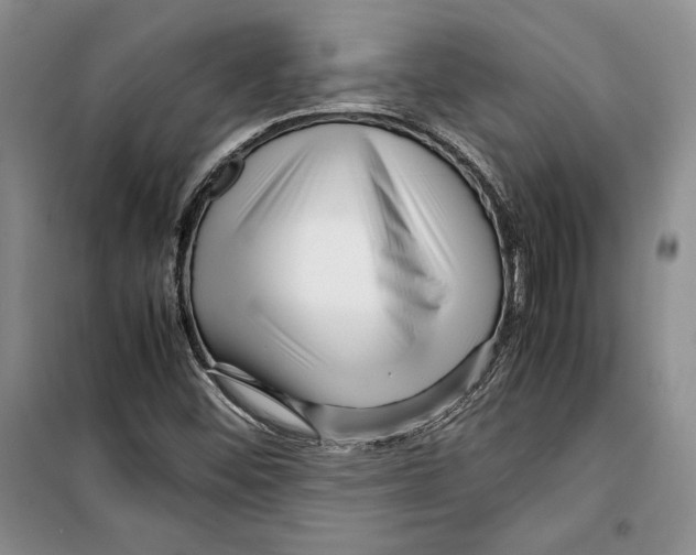 X0000099461452200806061118