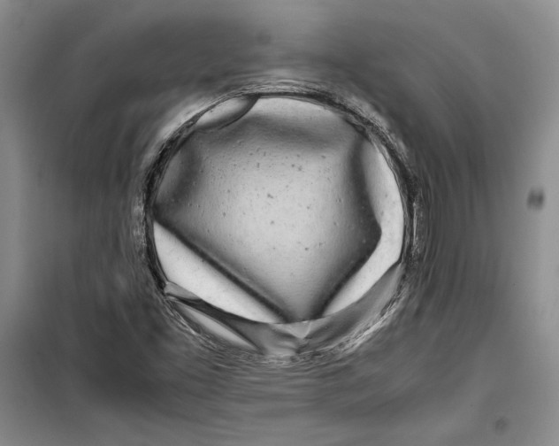 X0000099461453200806061118