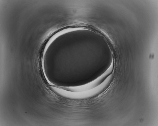 X0000099461455200806061118