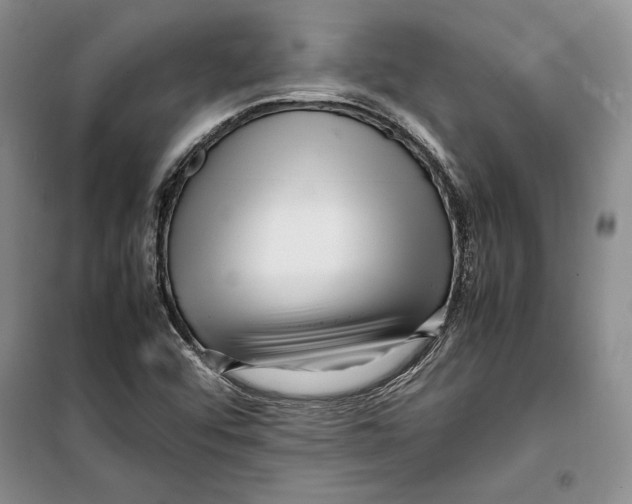 X0000099461456200806061118