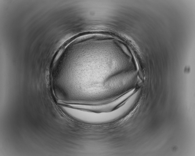 X0000099461457200806061118