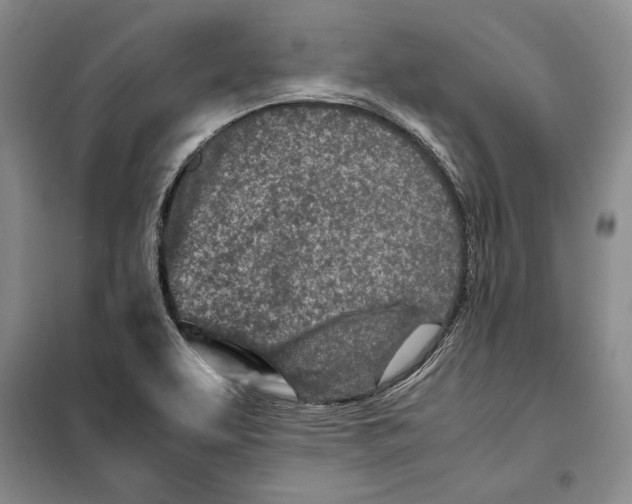 X0000099461463200806061118