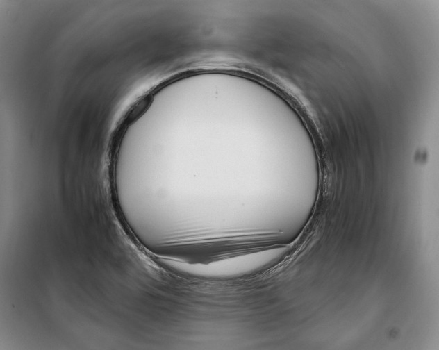 X0000099461464200806061118